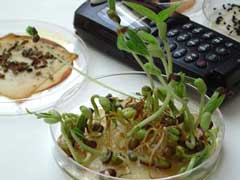 MRET Shield Technology - Plant Test 4