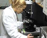 Cell Phone Radiation Research Tests