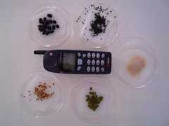MRET Plant Test 1