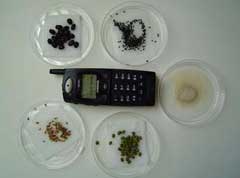 MRET Plant Test 2