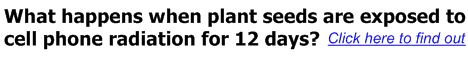 Cell Phone Radiation Shield - MRET Plant Seed Test Cell Phone Radiation Shield - MRET Plant Seed Test